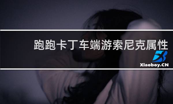跑跑卡丁车端游索尼克属性