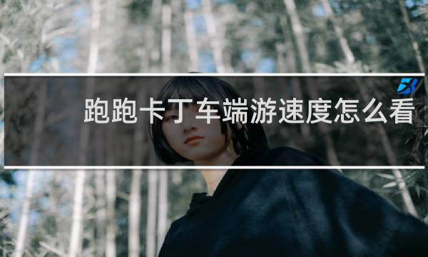 跑跑卡丁车端游速度怎么看