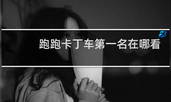 跑跑卡丁车第一名在哪看