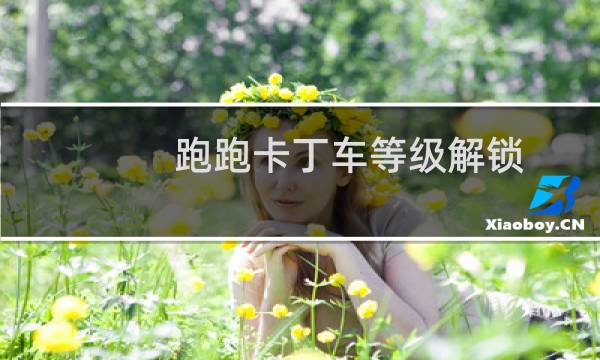 跑跑卡丁车等级解锁