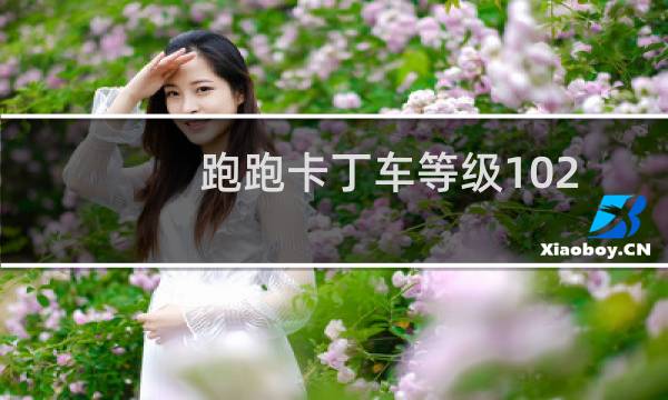 跑跑卡丁车等级102