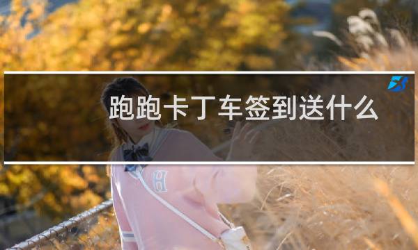 跑跑卡丁车签到送什么