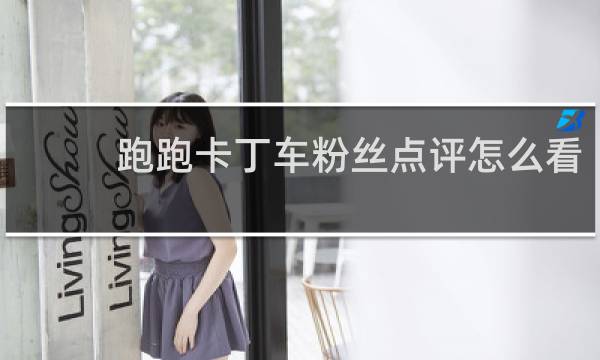 跑跑卡丁车粉丝点评怎么看