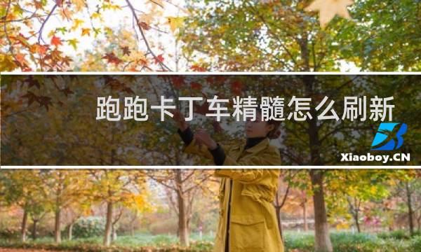 跑跑卡丁车精髓怎么刷新