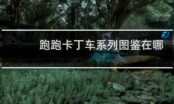 跑跑卡丁车系列图鉴在哪