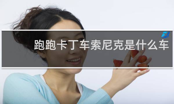 跑跑卡丁车索尼克是什么车