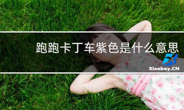 跑跑卡丁车紫色是什么意思