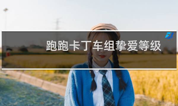 跑跑卡丁车组挚爱等级