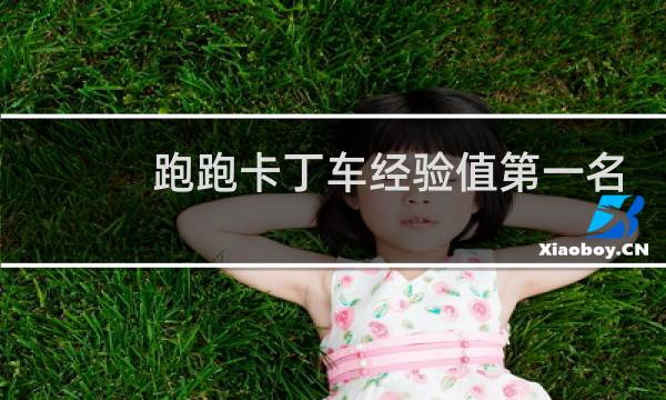 跑跑卡丁车经验值第一名