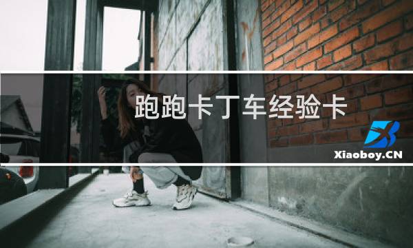 跑跑卡丁车经验卡
