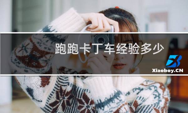 跑跑卡丁车经验多少