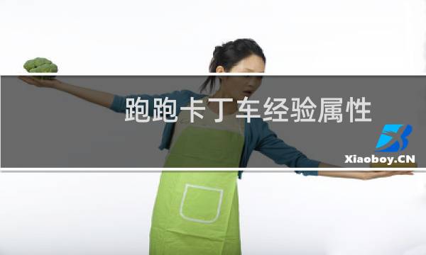 跑跑卡丁车经验属性