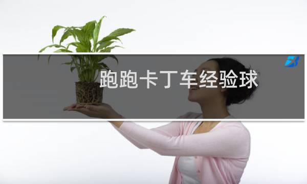跑跑卡丁车经验球