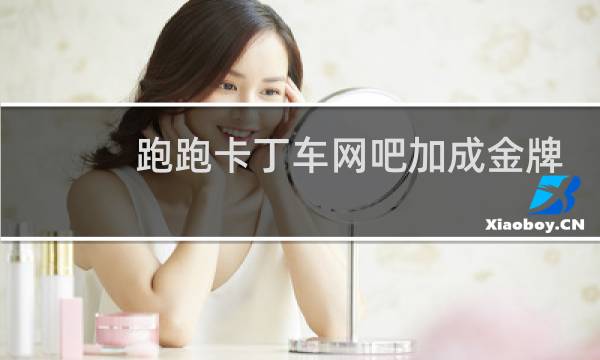 跑跑卡丁车网吧加成金牌