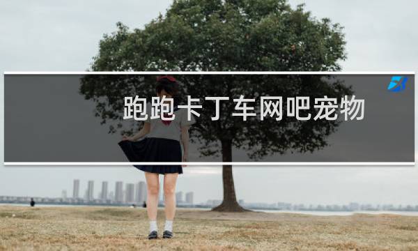 跑跑卡丁车网吧宠物