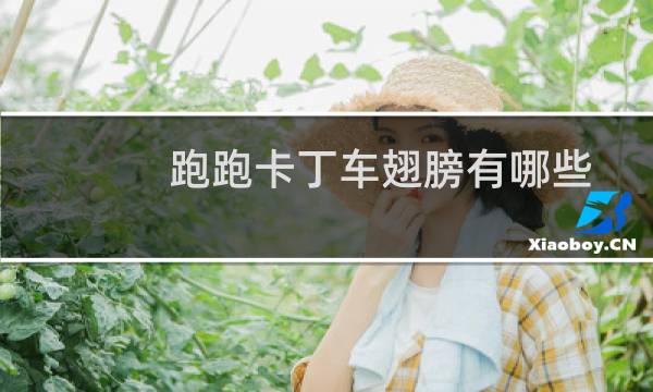 跑跑卡丁车翅膀有哪些