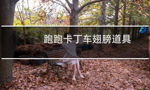 跑跑卡丁车翅膀道具
