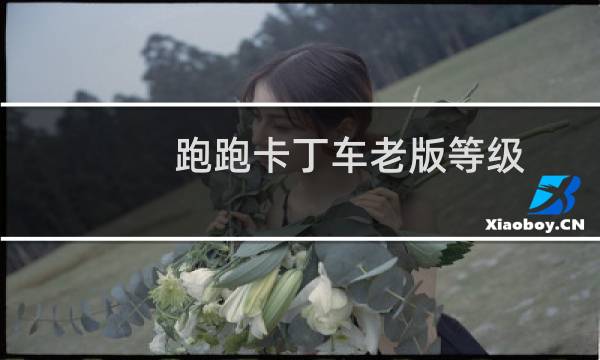 跑跑卡丁车老版等级