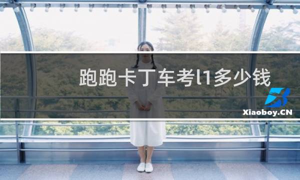 跑跑卡丁车考l1多少钱