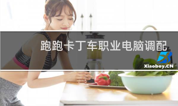 跑跑卡丁车职业电脑调配