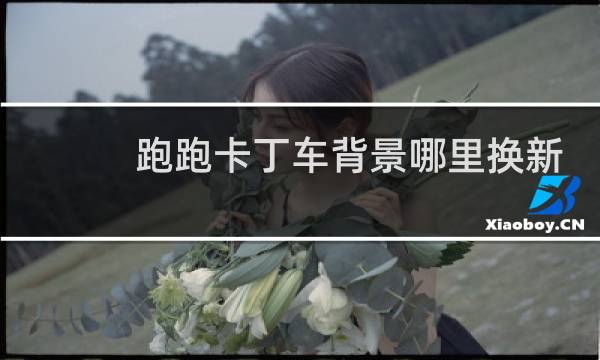 跑跑卡丁车背景哪里换新