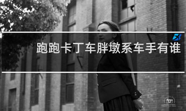 跑跑卡丁车胖墩系车手有谁
