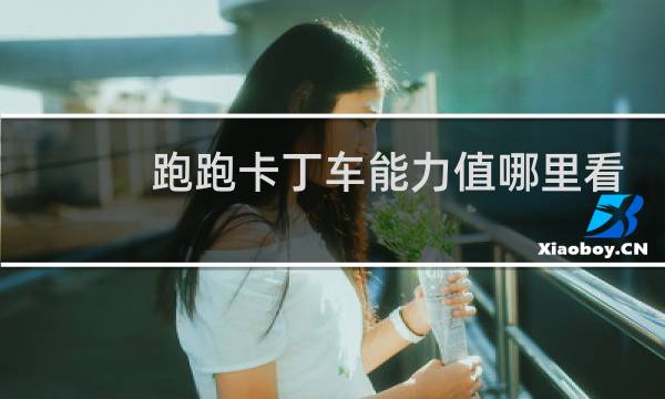 跑跑卡丁车能力值哪里看