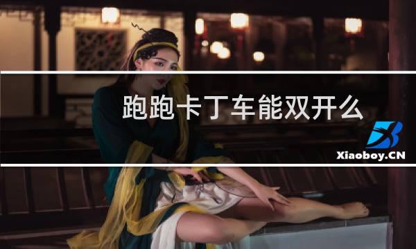 跑跑卡丁车能双开么