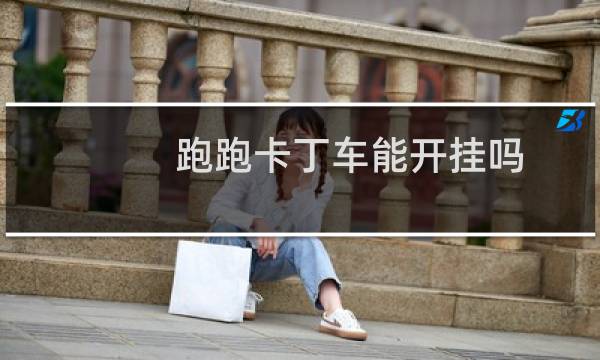 跑跑卡丁车能开挂吗