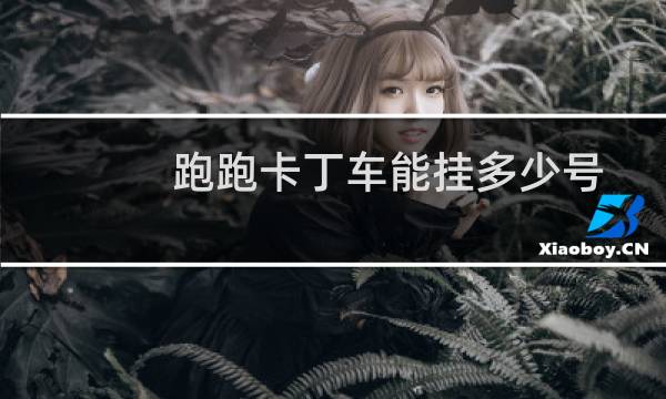 跑跑卡丁车能挂多少号