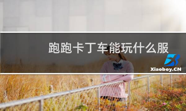 跑跑卡丁车能玩什么服