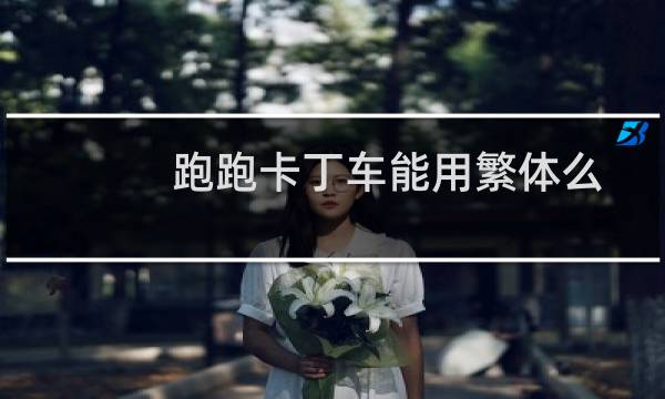 跑跑卡丁车能用繁体么