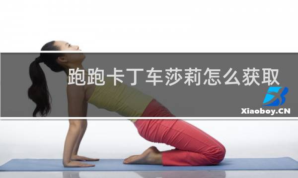跑跑卡丁车莎莉怎么获取
