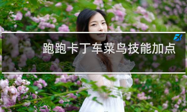 跑跑卡丁车菜鸟技能加点