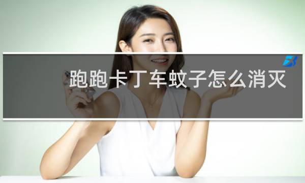跑跑卡丁车蚊子怎么消灭