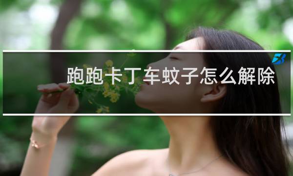 跑跑卡丁车蚊子怎么解除
