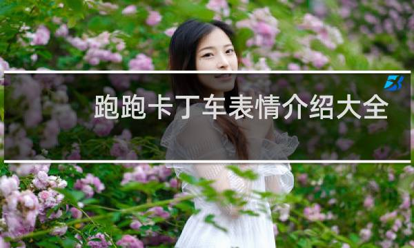 跑跑卡丁车表情介绍大全