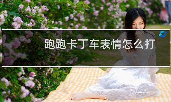 跑跑卡丁车表情怎么打