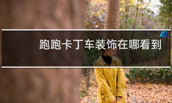 跑跑卡丁车装饰在哪看到