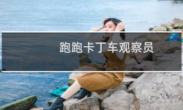 跑跑卡丁车观察员