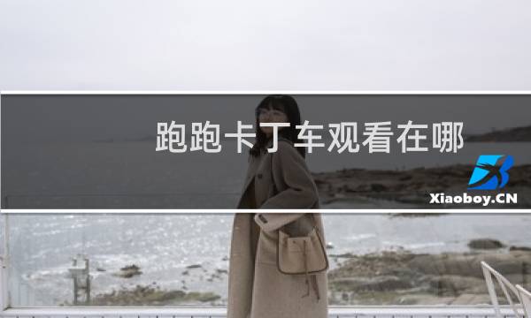 跑跑卡丁车观看在哪