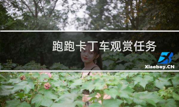 跑跑卡丁车观赏任务