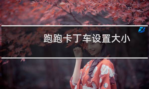 跑跑卡丁车设置大小