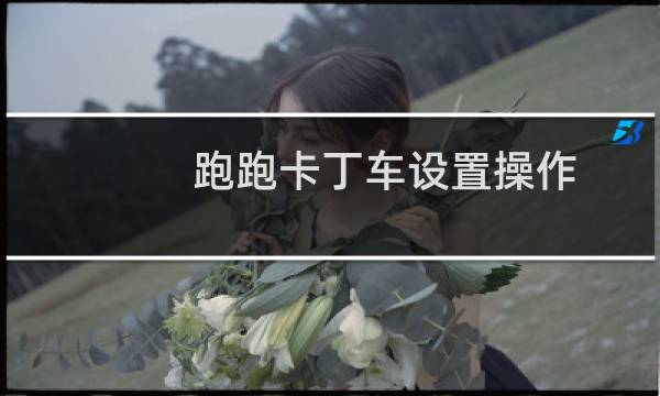 跑跑卡丁车设置操作