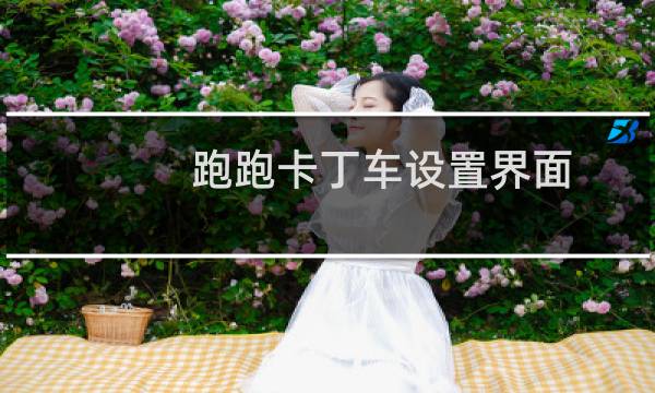 跑跑卡丁车设置界面