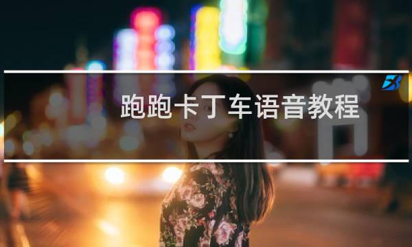 跑跑卡丁车语音教程