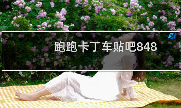 跑跑卡丁车贴吧848