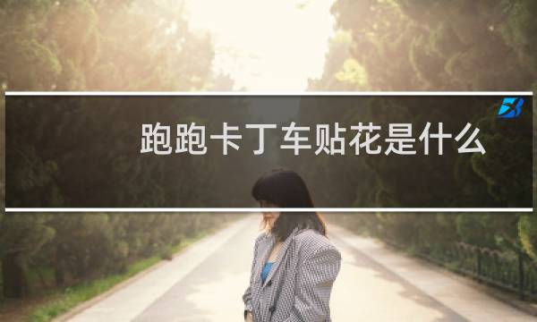 跑跑卡丁车贴花是什么