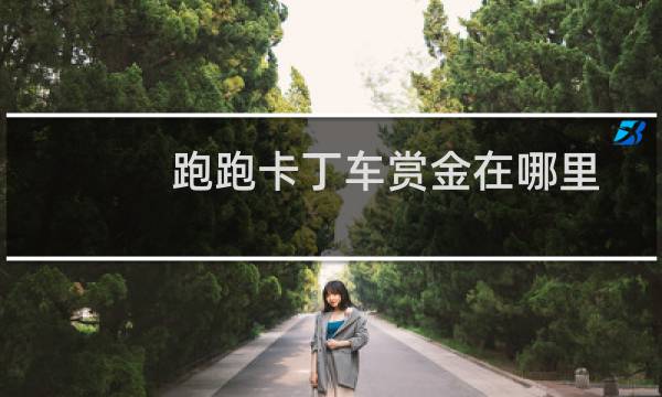 跑跑卡丁车赏金在哪里