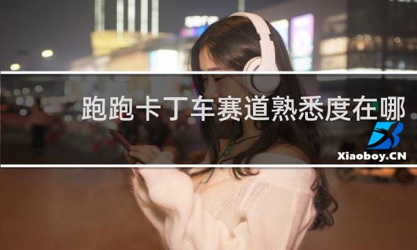 跑跑卡丁车赛道熟悉度在哪
